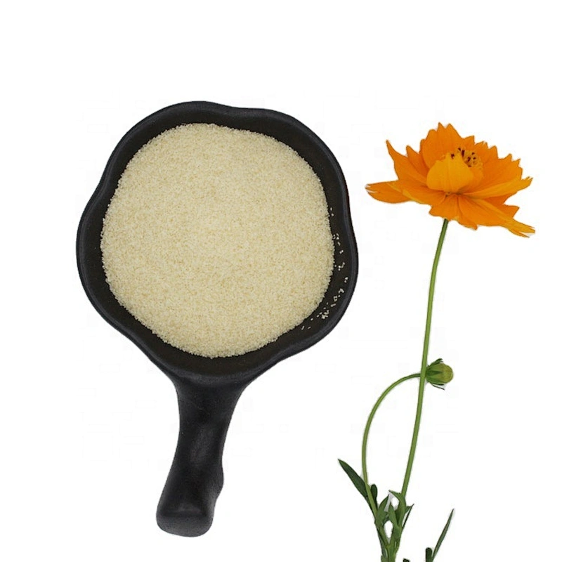 Gelatin and food grade gelatin powder for making candy and frozen meat